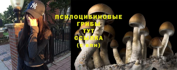 каннабис Алзамай