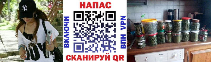 Шишки марихуана индика  купить закладку  Грязи 